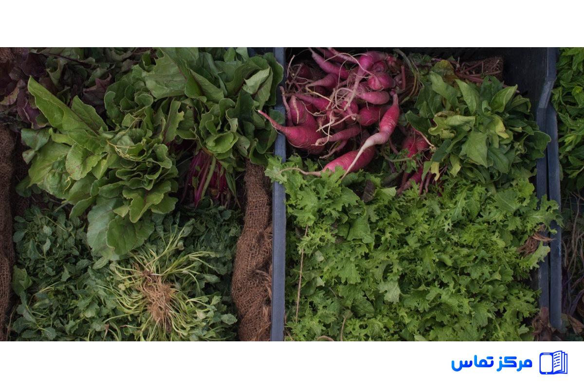 استخدام سبزی پاک کن در کشور ترکیه شهر استانبول