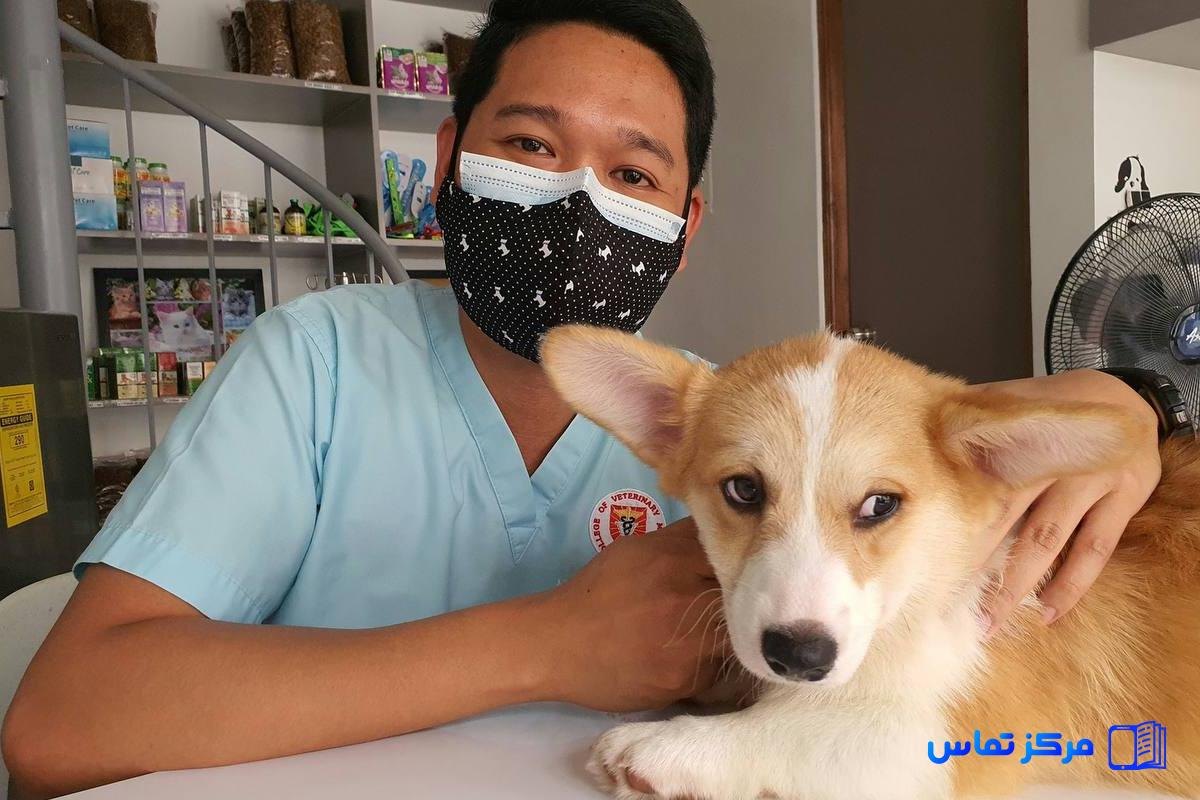 استخدام دامپزشک در آمریکا  شهر نیویورک کلینیک Heartstrings Pet Hospice